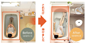 ���ꂾ���L�т܂���