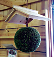 ���ʂ̐���