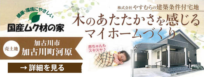 ���Y���N�ނ̉�